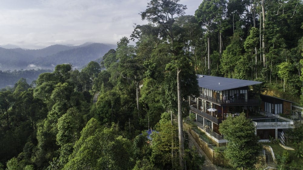 This is an aerial view of the house that has dark exterior tones and glass windows that maximize the surrounding lush mountainside landscape filled with tall trees.