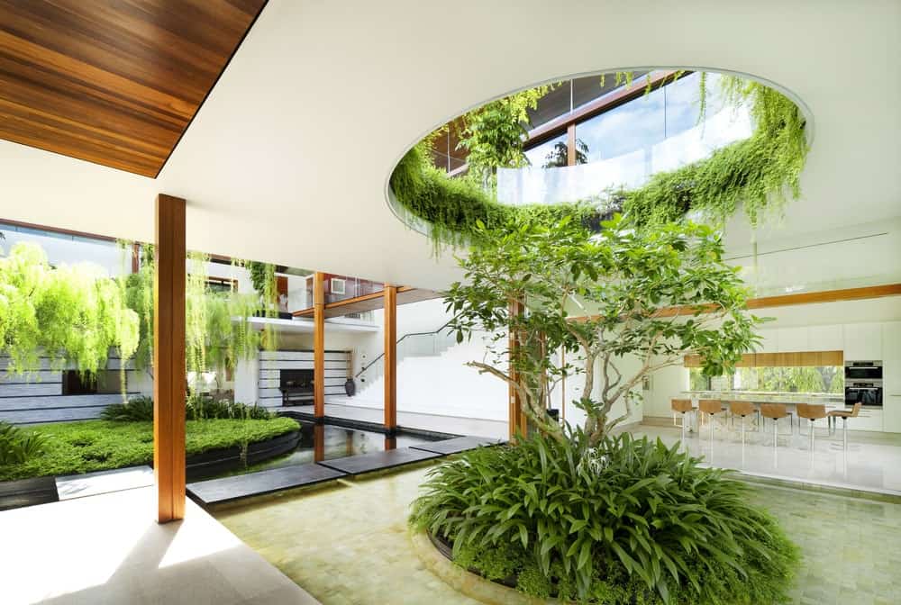 This is a part of the ground level with a landscaped medium tree with shrubs underneath a hole balcony from the second level.