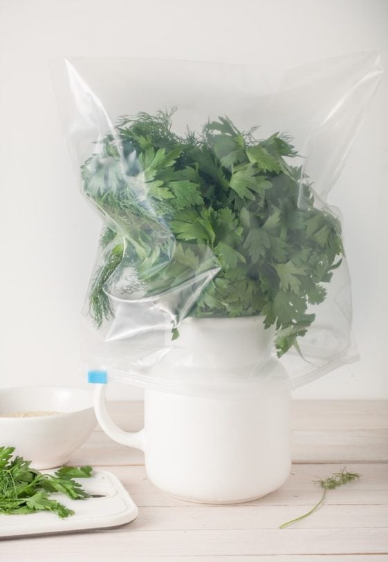 How to Store Cilantro
