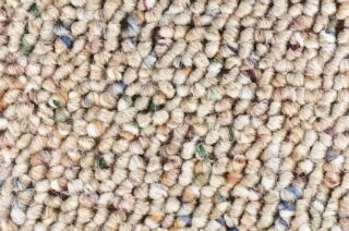 Loop vs. Cut Pile Carpet (Differences and Similarities)