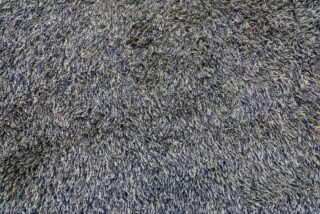 Loop vs. Cut Pile Carpet (Differences and Similarities)
