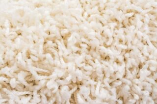 Loop vs. Cut Pile Carpet (Differences and Similarities)