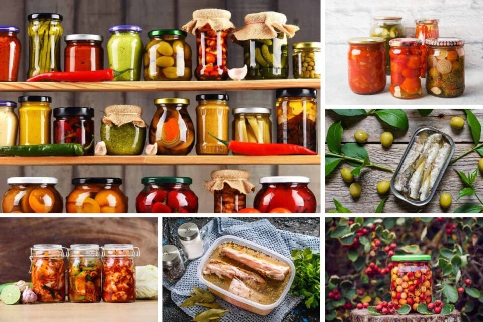 9 Methods of Food Preservation