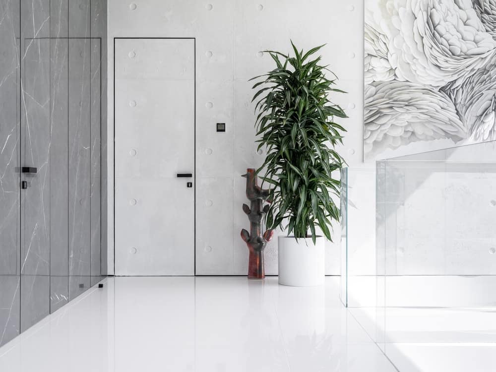 This is a close look at one of the doors of the house adorned with a large potted plant and a white door that blends with the walls and floor.