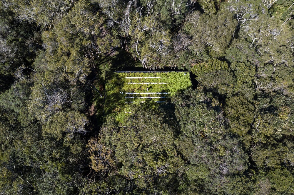 This is an aerial view of the house that has a grass lawn on its rooftop to pair with the surrounding lush tall treetops.