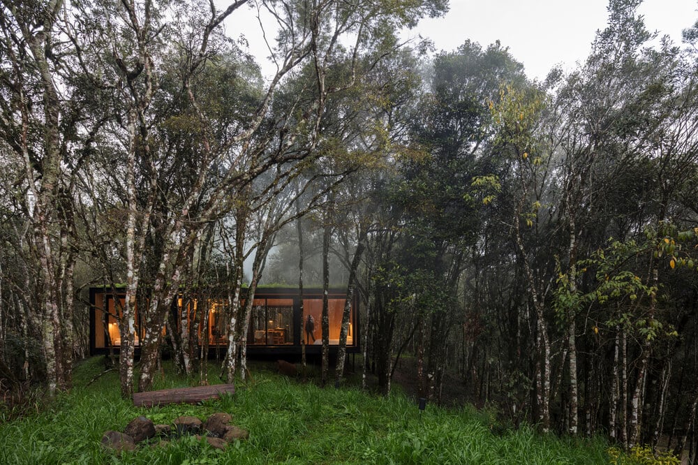 This angle of the house has a large glass wall with warm lighting to stand out against the tall trees.