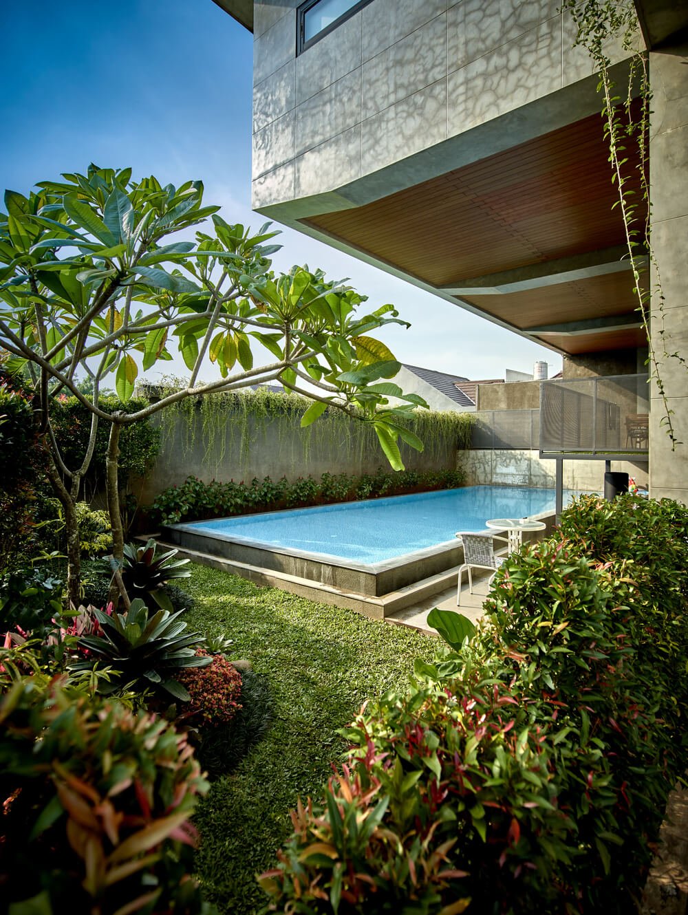 This is the pool area of the house surrounded by lush landscaping and concrete walls.