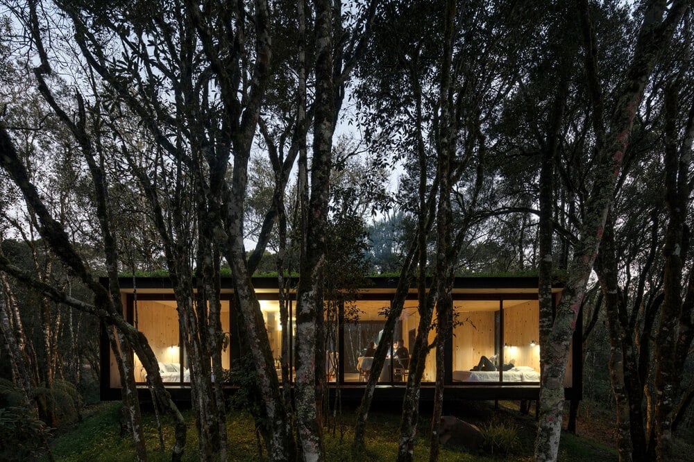 The large glass wall of the house allows for a peek into the interiors of the house.