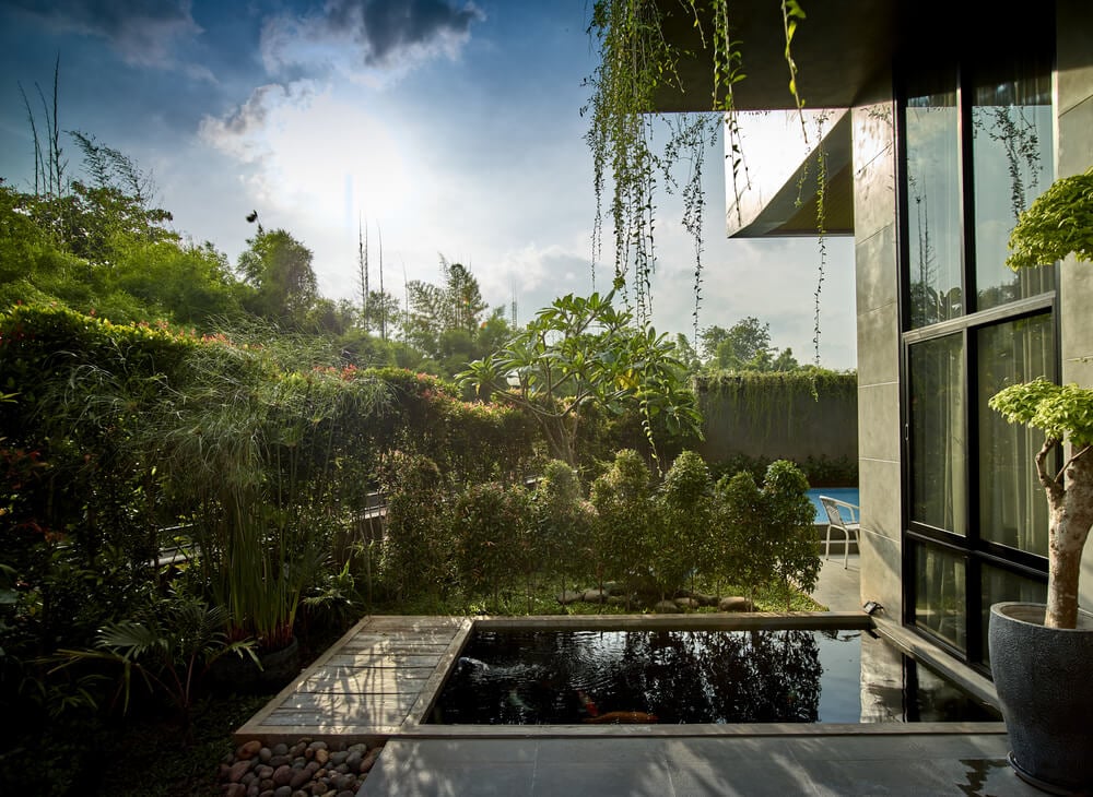 This is a closer look at the fish pond right beside the main entrance of the house.
