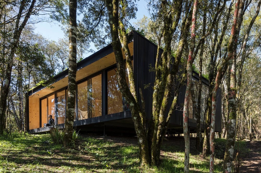 The house has a modern design tha makes its stand out against the surrounding tall trees.