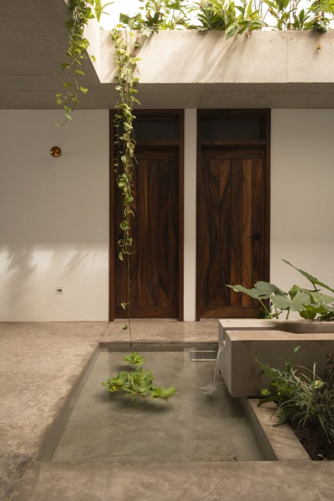 This is a close look at the miniature garden and the hanging plants from the open ceiling above the garden.