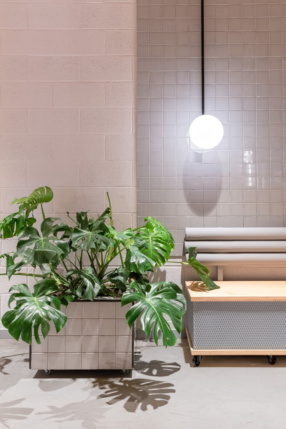 This is a close look at one corner of the area that has a built-in bench, a potted plant and a pendant light above.
