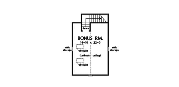 Bonus level floor plan with skylights, cathedral ceiling, and attic storage.
