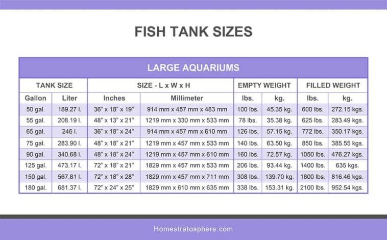 fish-tank-sizes-charts-tables-home-stratosphere