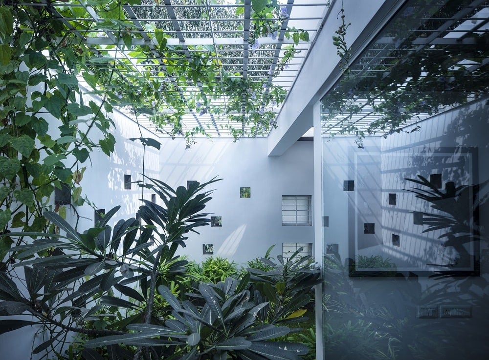This is an interior view of the house showcasing the lush landscaping inside with various shrubs and vines.