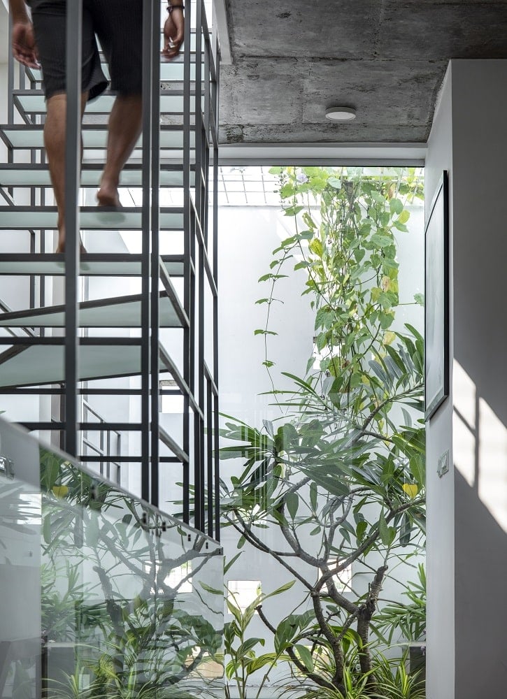This is another view of the modern unique staircase adorned with trees and plants on the side.