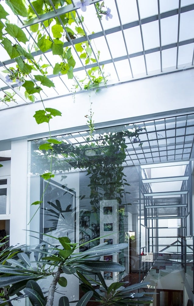 This is a view of the indoor garden with an open ceiling that has grills and creeping vines and a glass wall on the side.