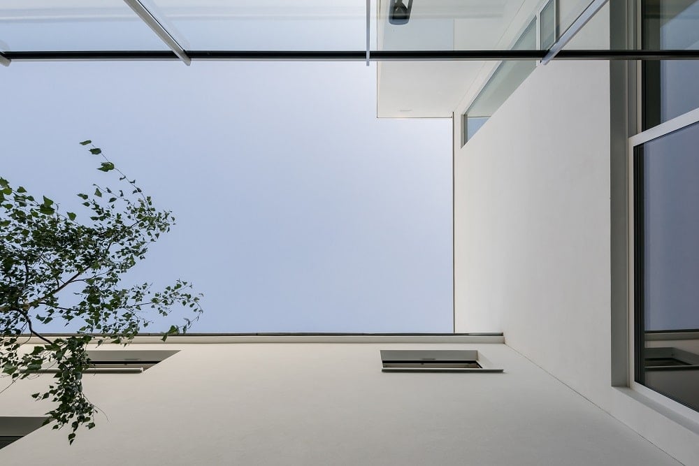 This is a look at the open ceiling of the middle courtyard with a tree and walls of concrete.