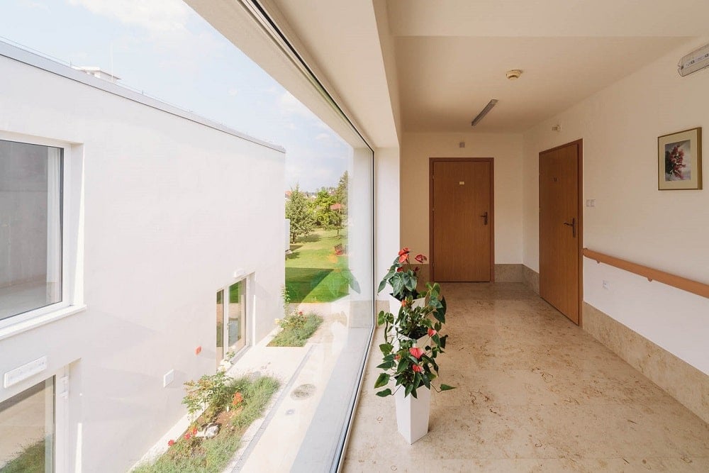 This is another hallway with a large glass wall on one side adorned with multiple potted plants.