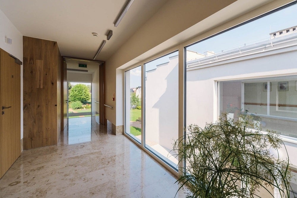 This is a hallway within the senior house with a alrge glass wall on one side adorned with a potted plant.