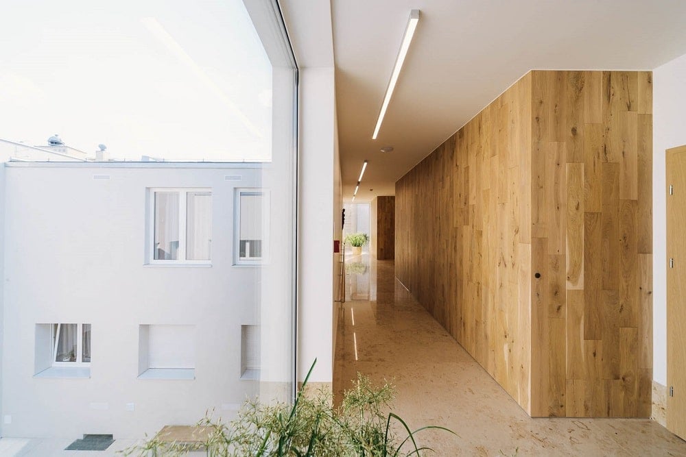 This hallway is adorned by the natural lights coming in from the large glass window adorned with a potted plant.