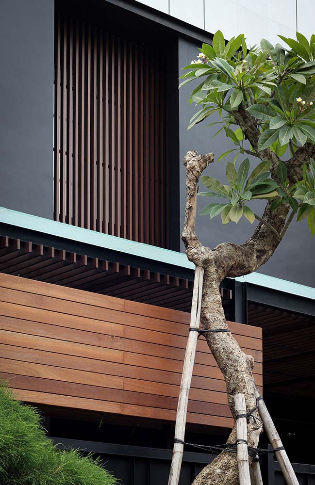 This is a close look at the tall and gnarled tree that complements the wooden panels of the house exterior that has mostly dark gray exteriors.