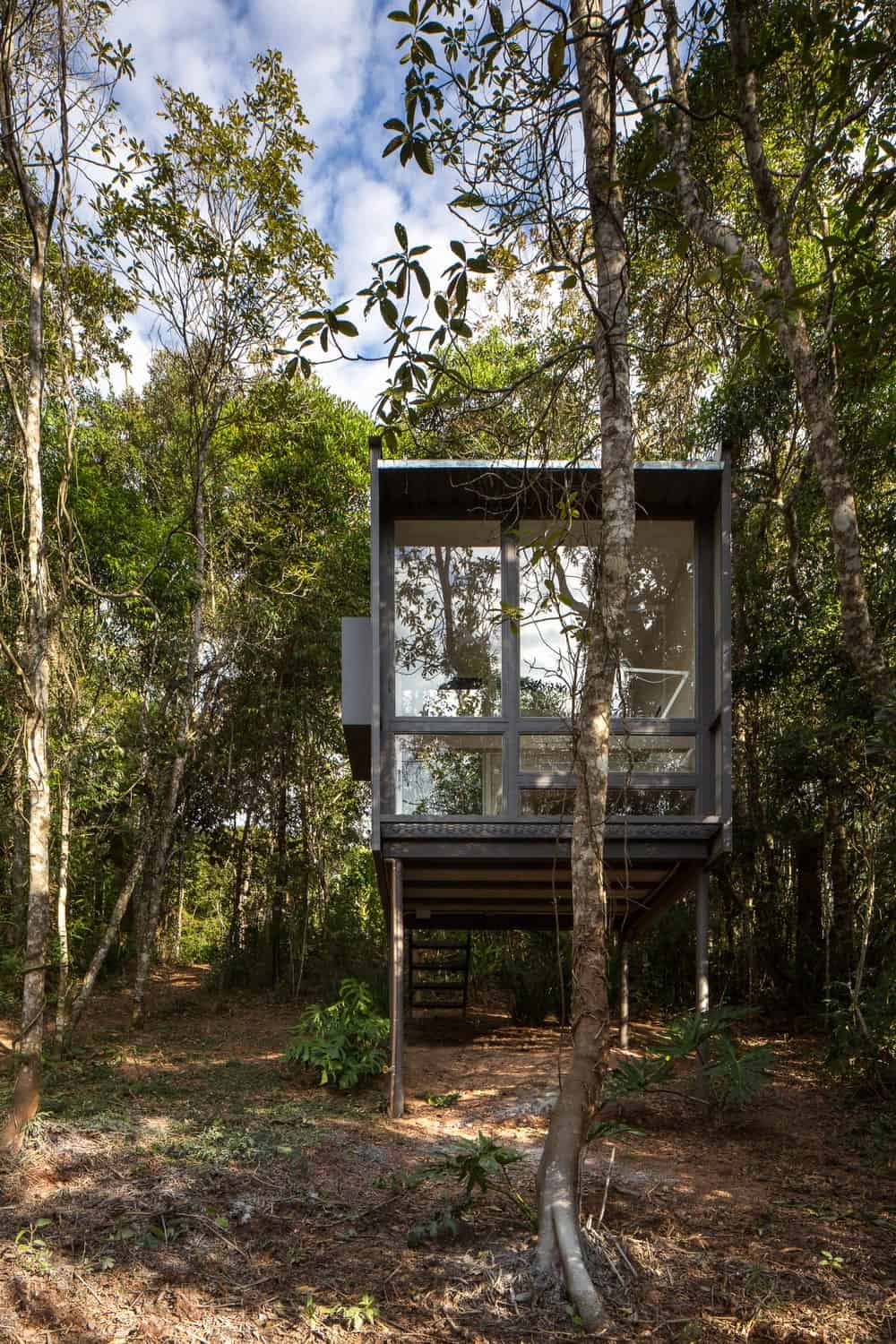 This is a view of the house with a large glass wall, stilts and a staircase surrounded by tall trees and shrubs.