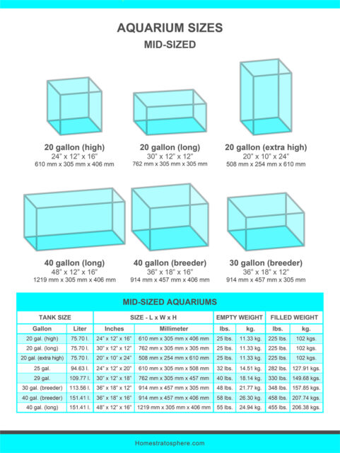 Image showcasing AQUARIUM DIMENSIONS: Sizes + Calculations - Fish Tank Focus