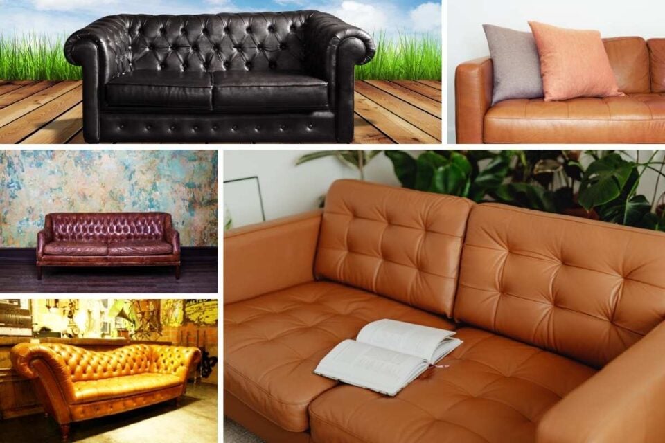 10 Different Types of Leather Sofas