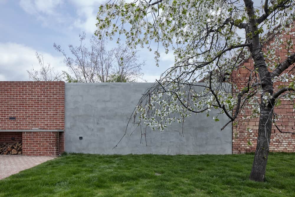 Next to the concrete walkways of the house is a small grass lawn  with a single tree in the middle.