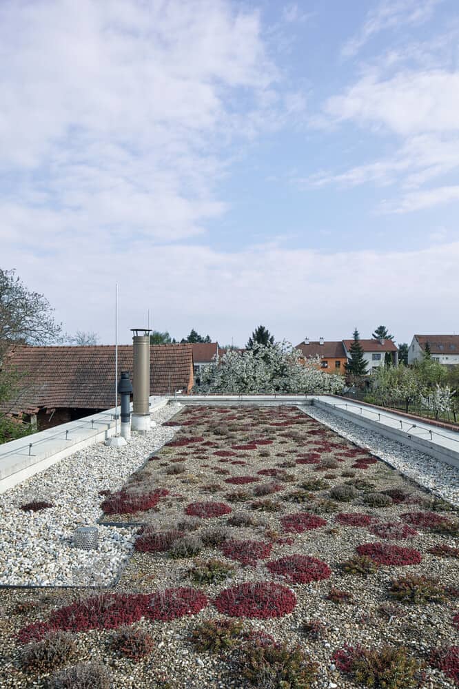 This is a view of the rooftop garden and open area showcasing a simple landscaping.