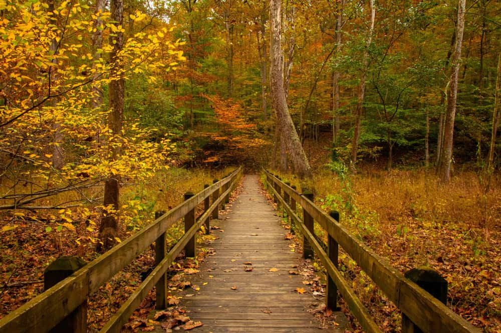 Wooden bridge in Nashville. Indiana during autumn.