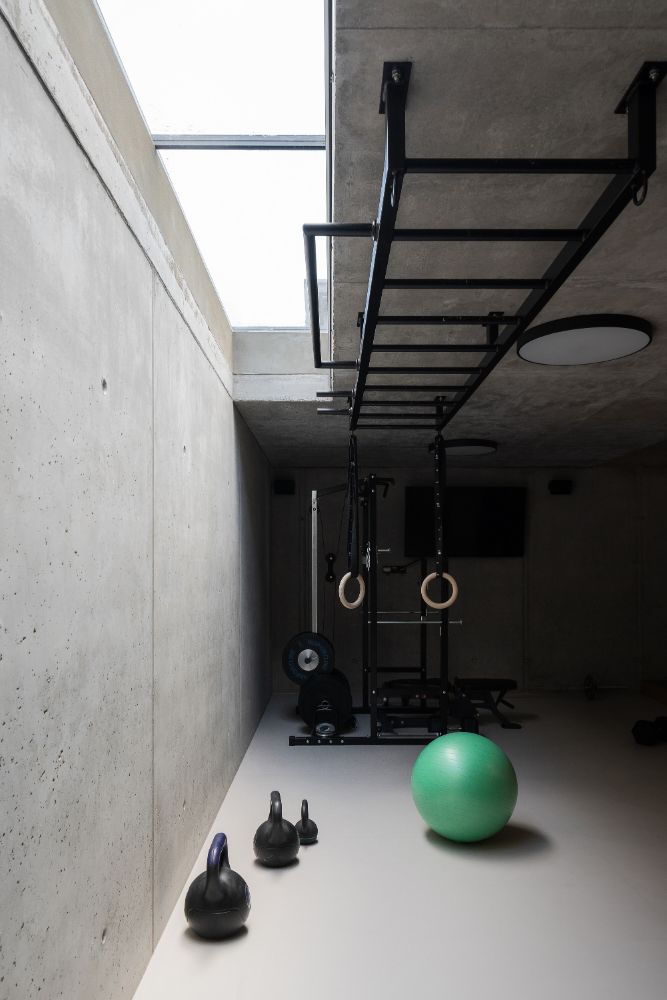 Cherry tree house mini gym with gym equipment 2.