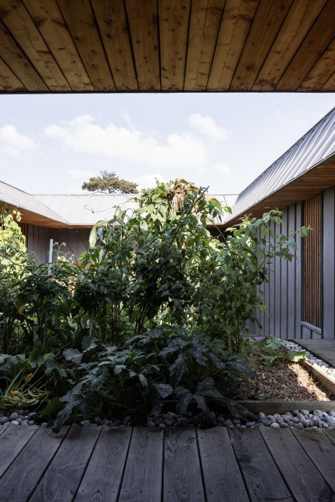 The enclosed space for garden in the center of the house.