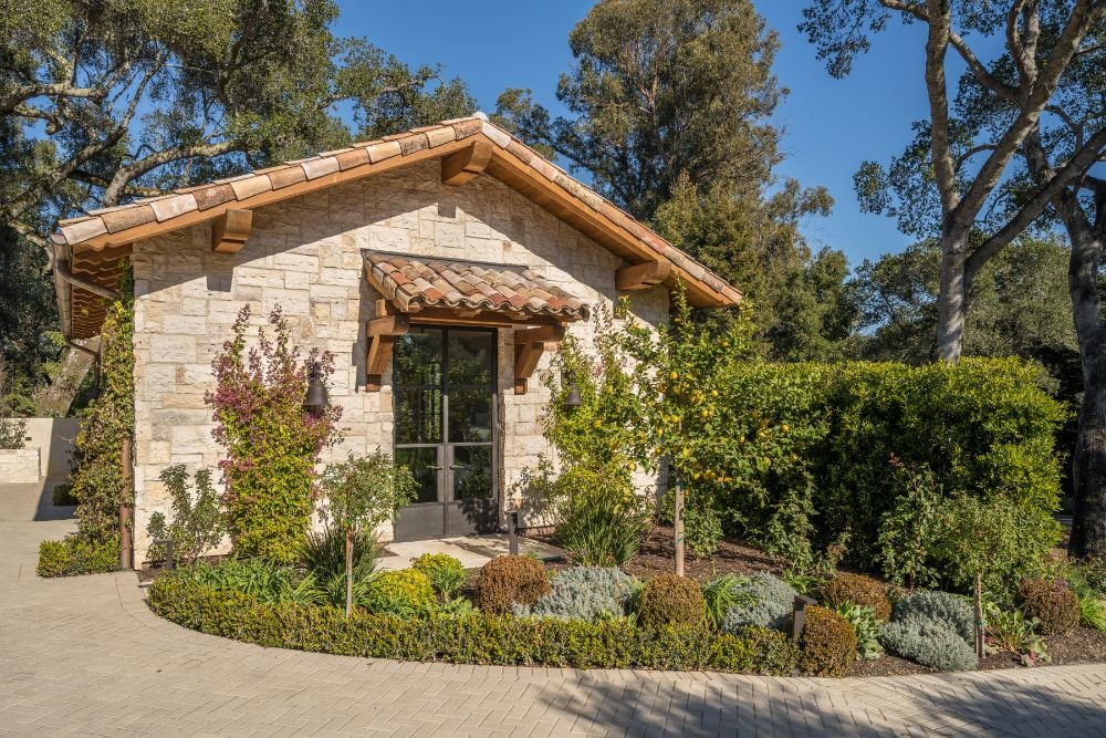 Backdoor area with retractable glass door, olive trees and a rose in garden.
