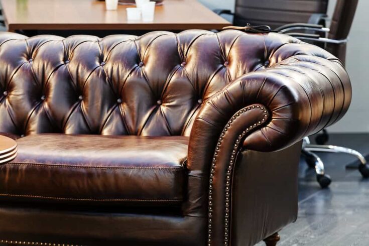 7 Different Types of Leather for Furniture