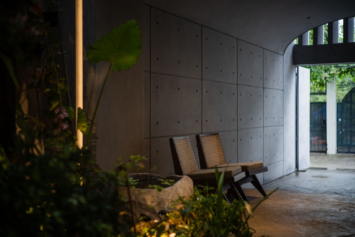 Two wooden chairs in ground living space beside the plant formation.