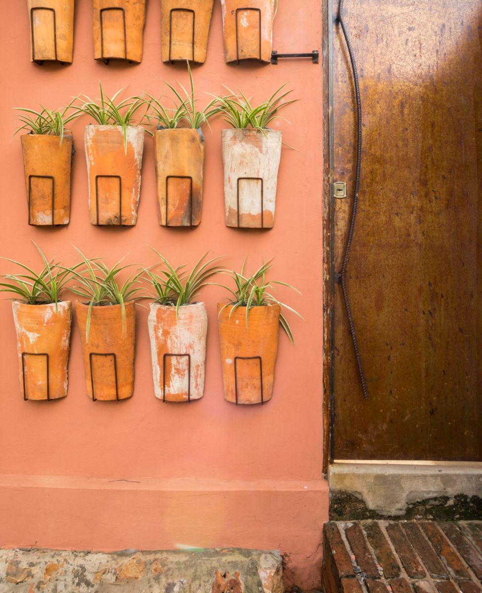 A personalized planter with plants mounted on the front wall.
