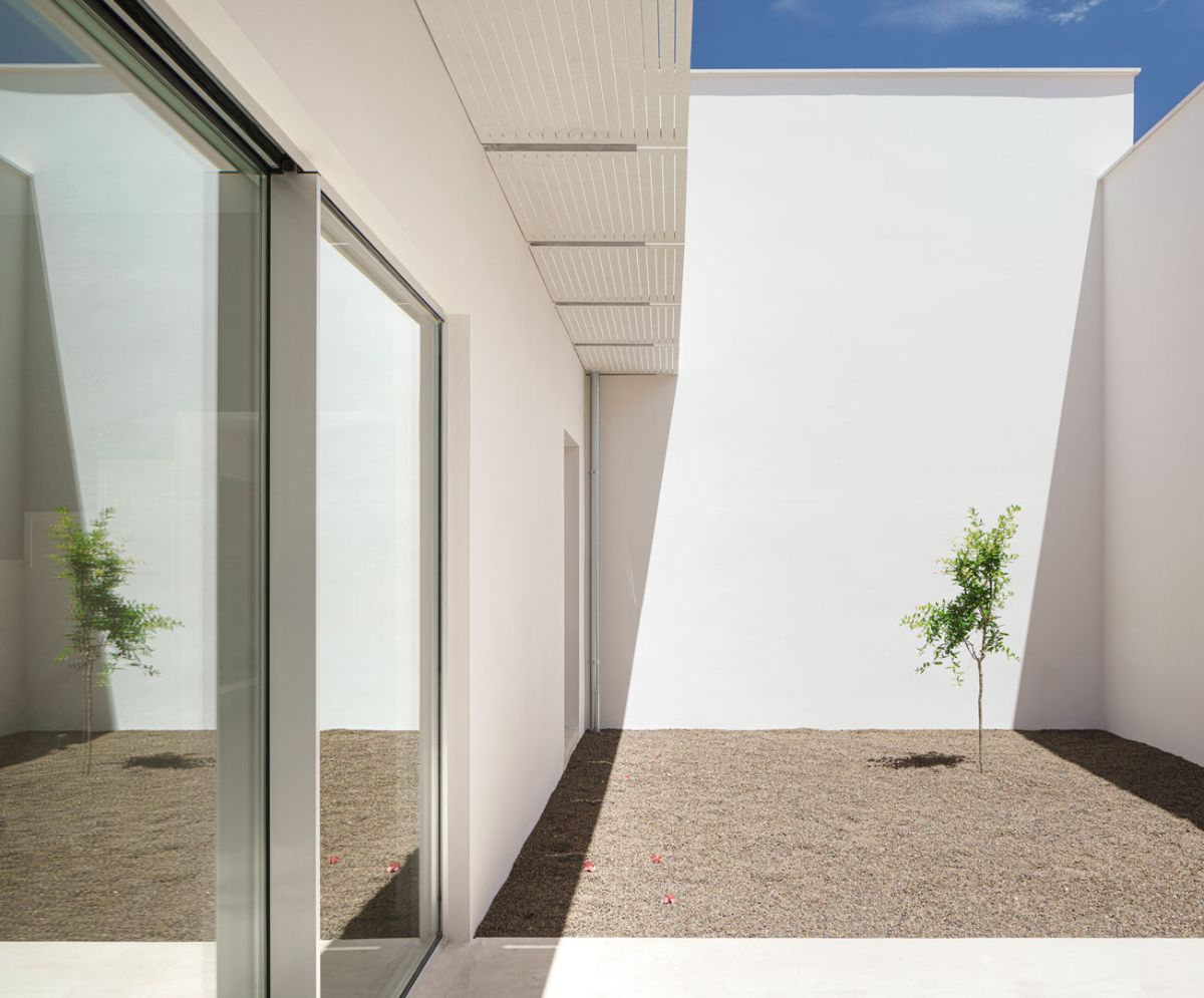 The courtyard of the house with lemon tree plant.