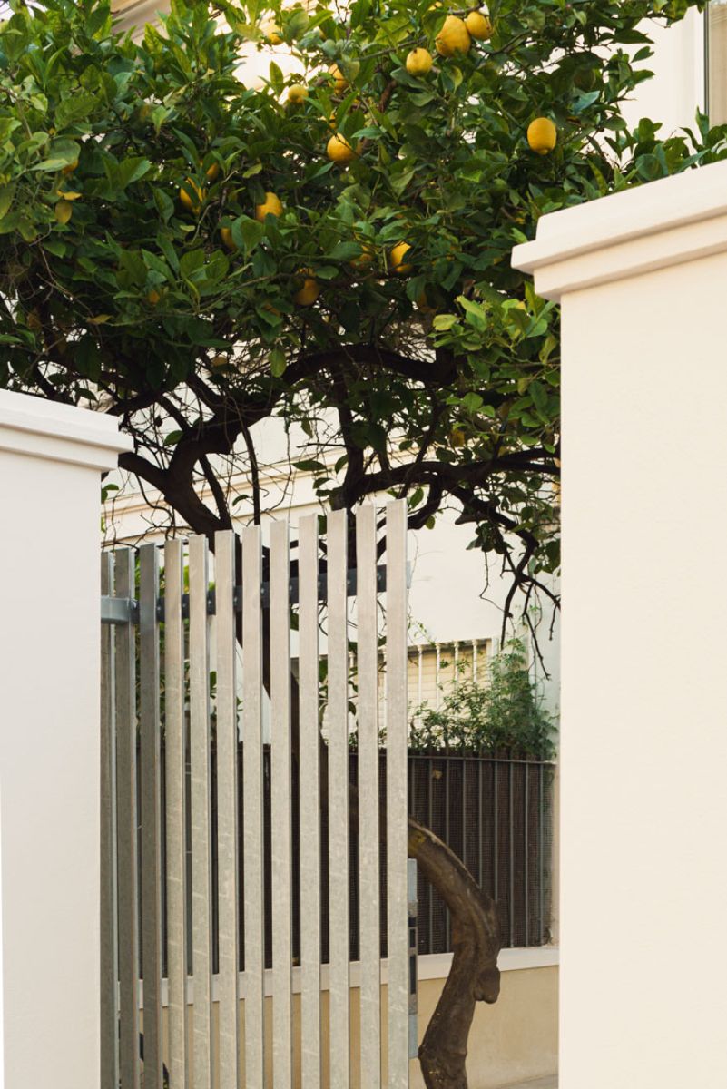 The house fence that features a white painted wooden fence.