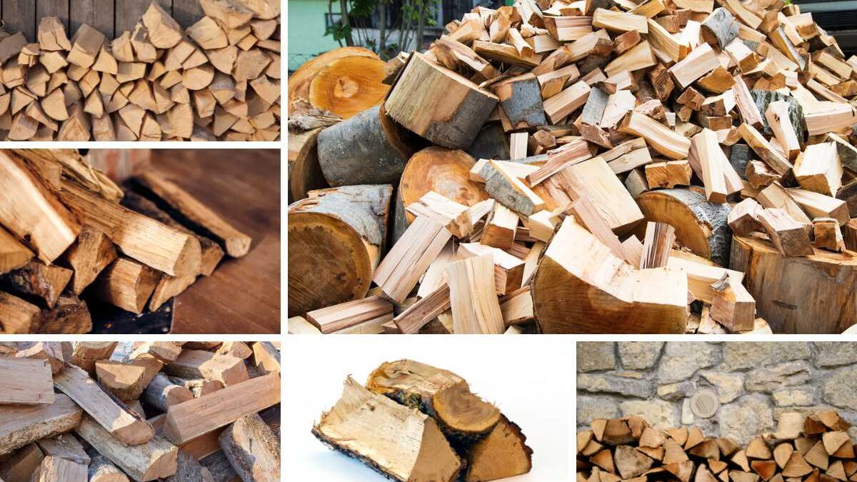 9 Different Types of Firewood -