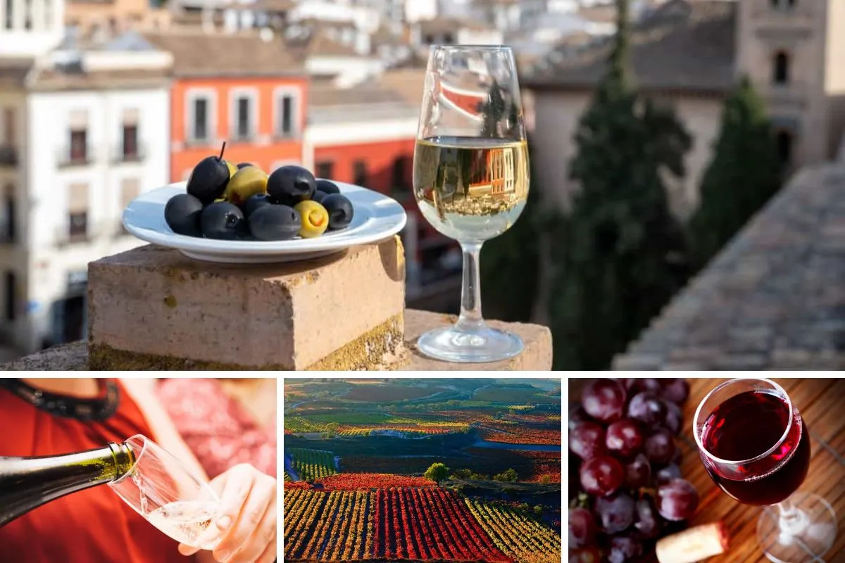 Spanish Wine Guide - Home Stratosphere