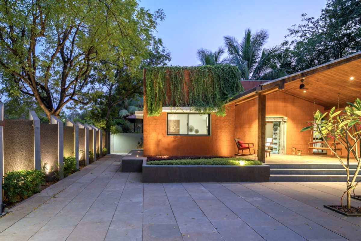 The house exterior walls with lovely fall of vernonia creepers acting like green drapes against the brick surface.