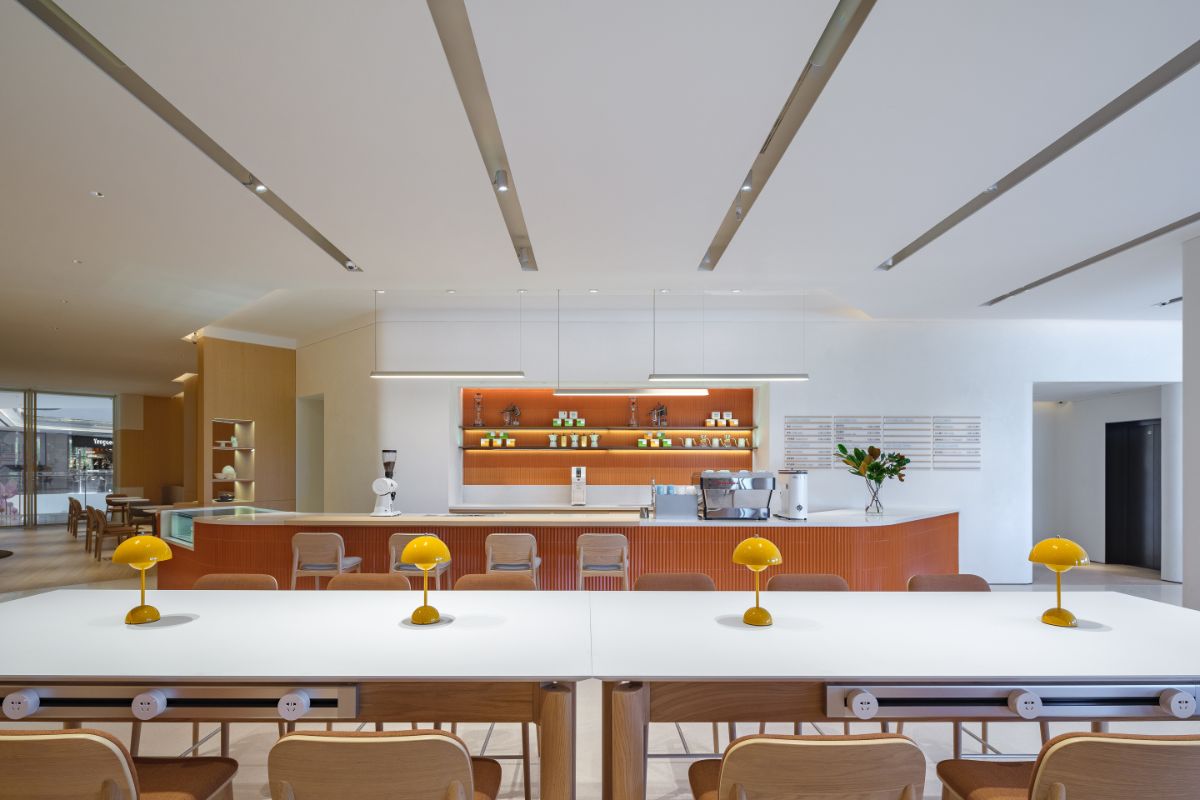 A long dining table and the kitchen.