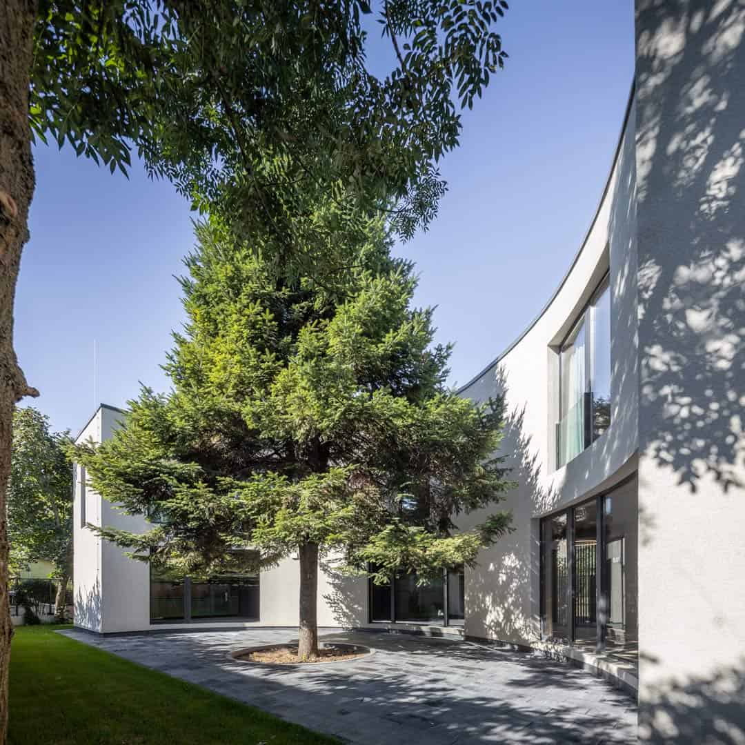 Home's curved exterior surrounding the beautiful fir tree.
