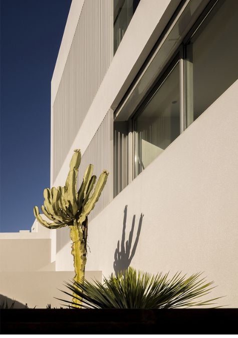 This image provides a glimpse of the natural beauty that surrounds the house particularly the beautiful cacti and other plants that have been planted there.