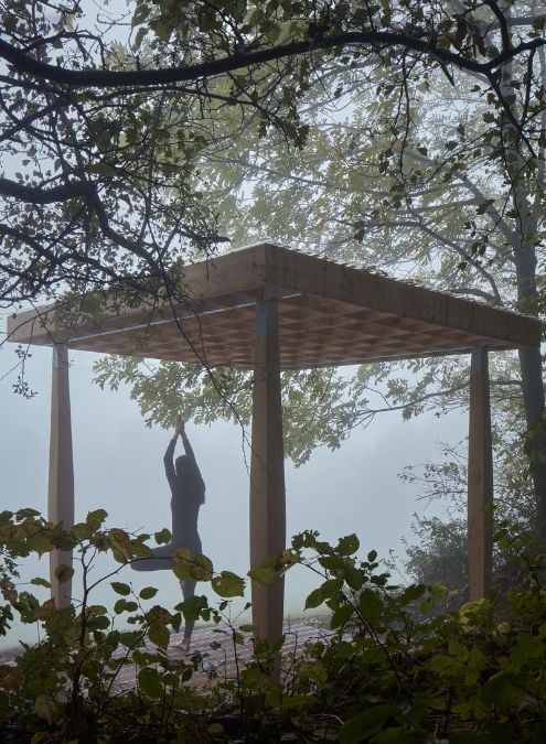 This photo provides a view of the Yogapoint structure from the rear, featuring the surrounding plants and trees, as well as the misty fog that envelops the area.