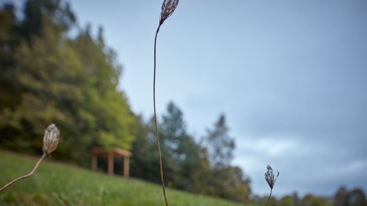 A blurred photo of the Yogapoint captured from a distance in a low angle position.