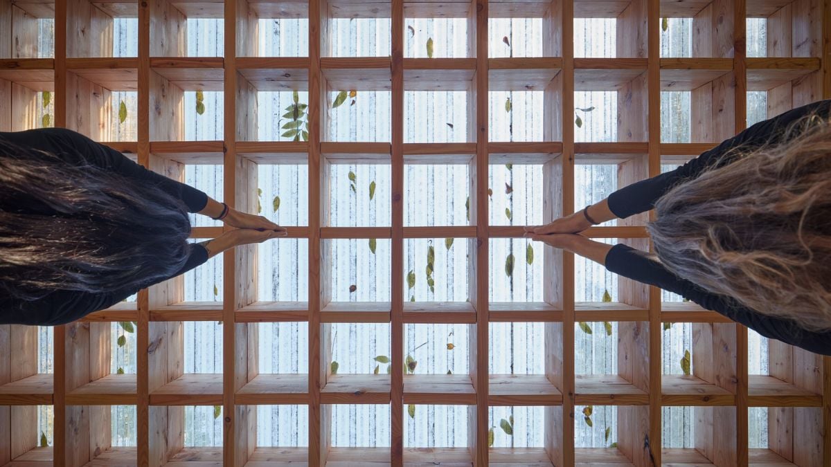 Through this image, viewers can appreciate a detailed shot of the bearing structure of the Yogapoint's roof, composed of a wooden grid and shading slats.