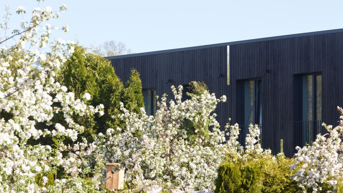 In a vibrant setting, the newly constructed house's laconic shape is clearly noticeable.